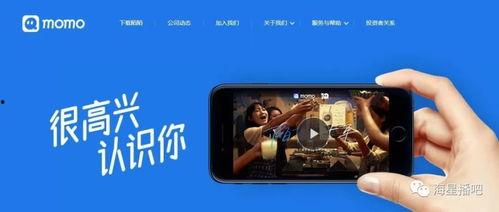 娱乐吃瓜直播怎样加入公会,揭秘娱乐直播加入公会全攻略